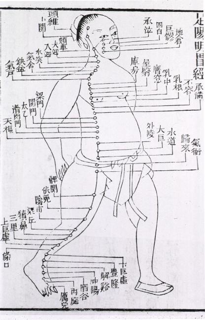 Traditional Chinese Medicine Acupuncture points